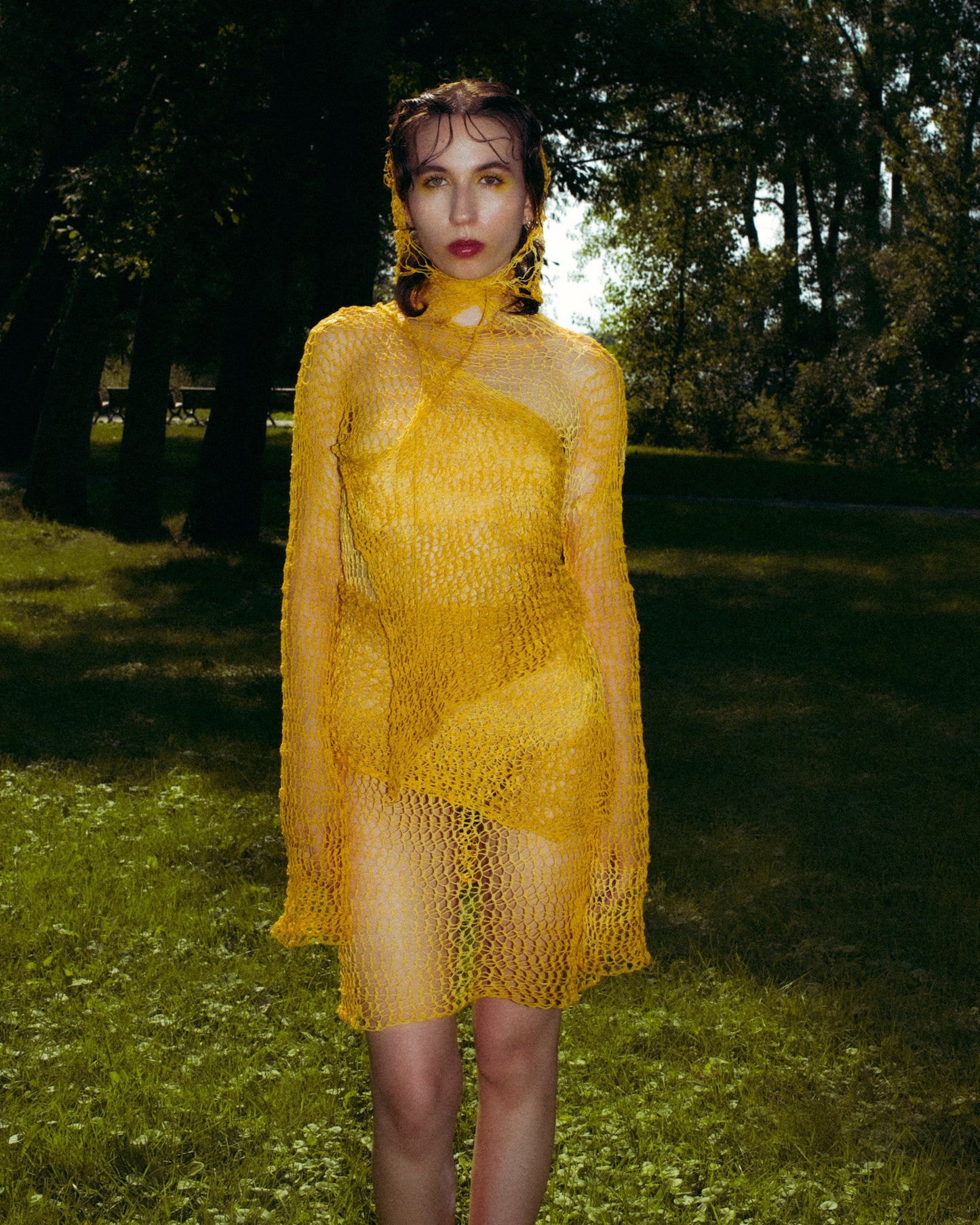 Wild Honey Dress